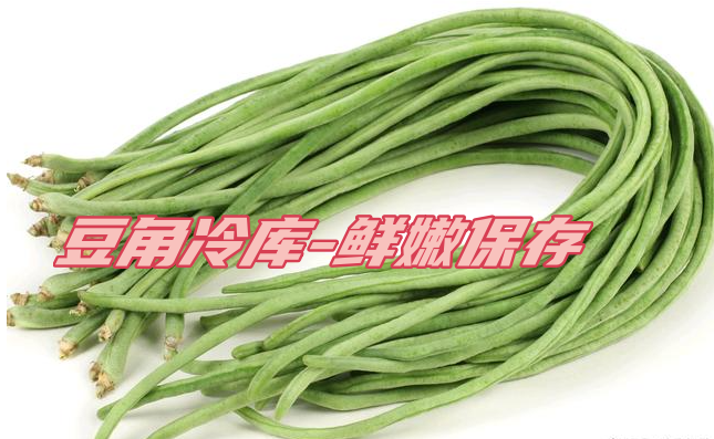 豆角工業(yè)冷庫：鮮嫩保存，一年四季供應