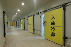 建造安裝1000平米冷凍庫造價(jià)需要多少錢