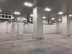 建造大型冷鏈配送中心冷庫（生鮮配送冷庫）設(shè)計建造多少錢